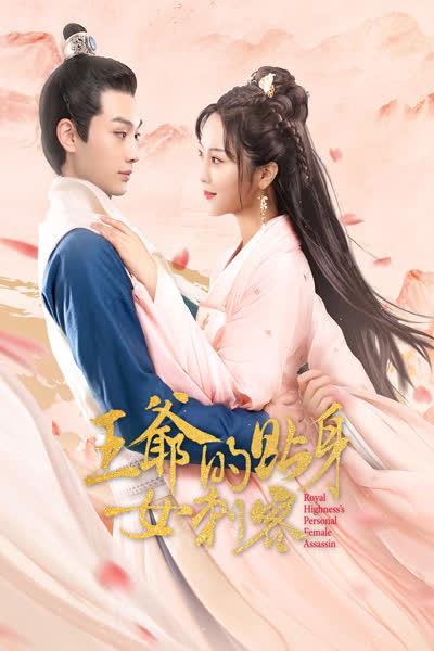 王爷的贴身女刺客